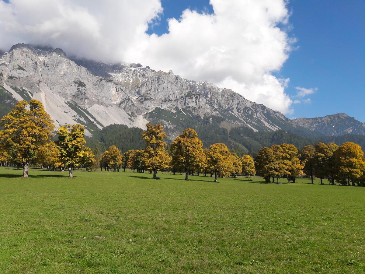 Appartement "Haus Lisa" In Ramsau Am Dachstein Εξωτερικό φωτογραφία